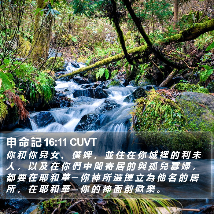 申 命 記 16:11 CUVT Bible Study