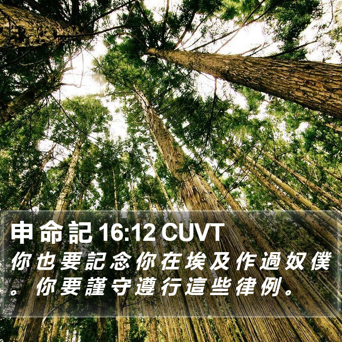 申 命 記 16:12 CUVT Bible Study