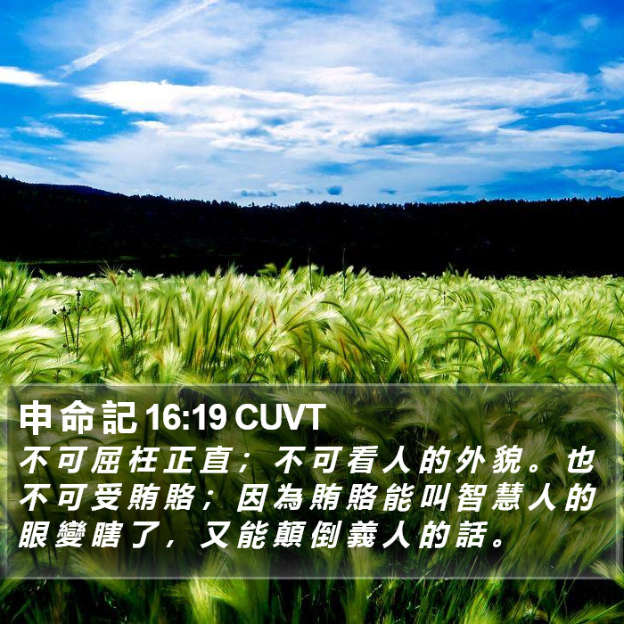申 命 記 16:19 CUVT Bible Study
