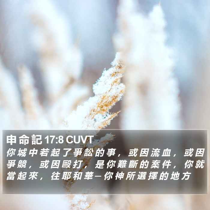 申 命 記 17:8 CUVT Bible Study