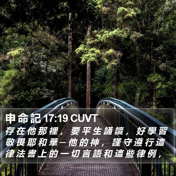 申 命 記 17:19 CUVT Bible Study