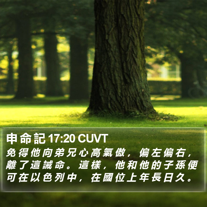 申 命 記 17:20 CUVT Bible Study