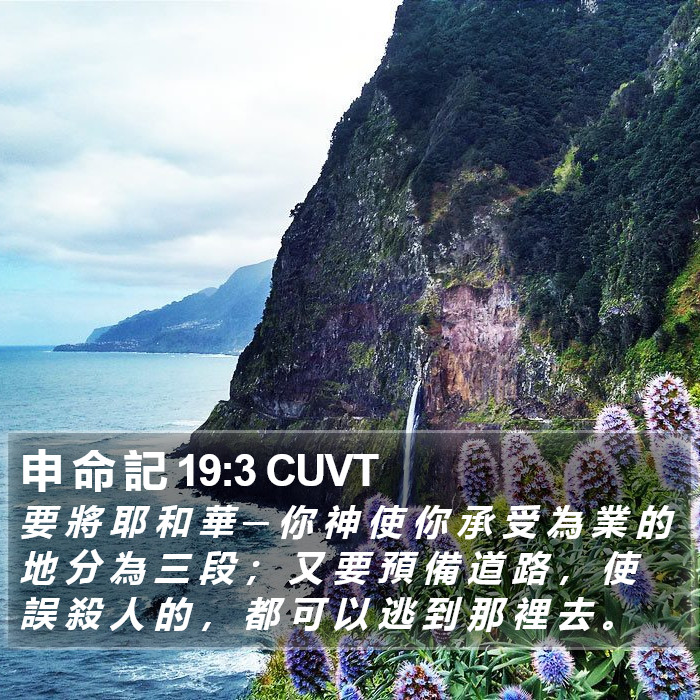 申 命 記 19:3 CUVT Bible Study