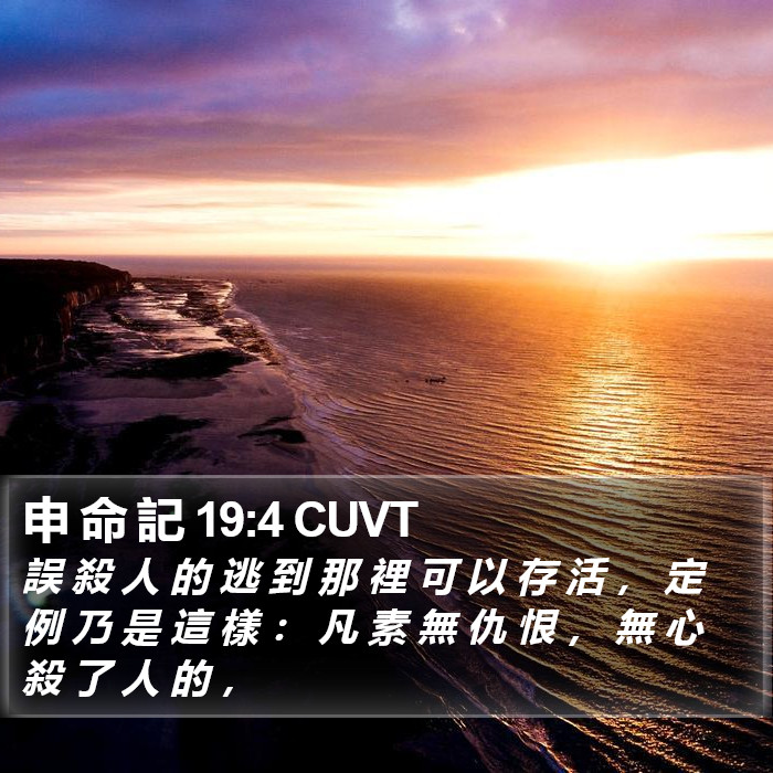申 命 記 19:4 CUVT Bible Study