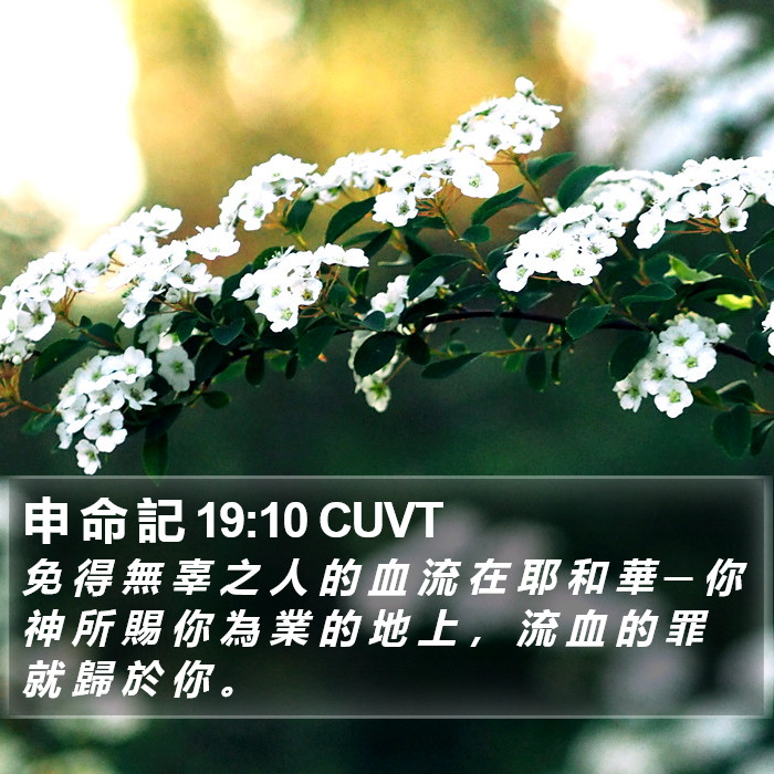申 命 記 19:10 CUVT Bible Study