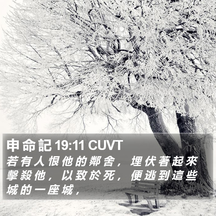 申 命 記 19:11 CUVT Bible Study