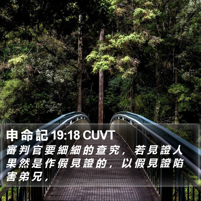申 命 記 19:18 CUVT Bible Study