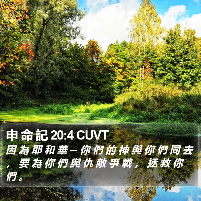 申 命 記 20:4 CUVT Bible Study