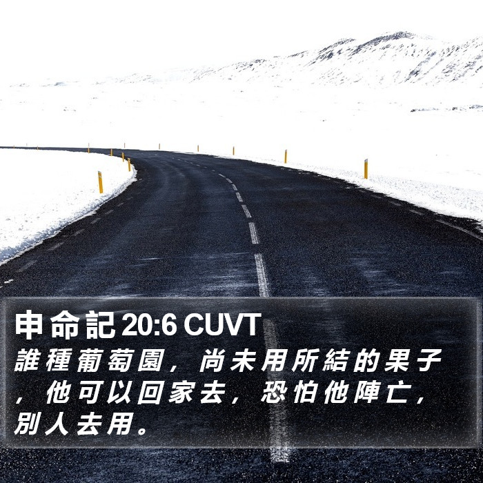 申 命 記 20:6 CUVT Bible Study