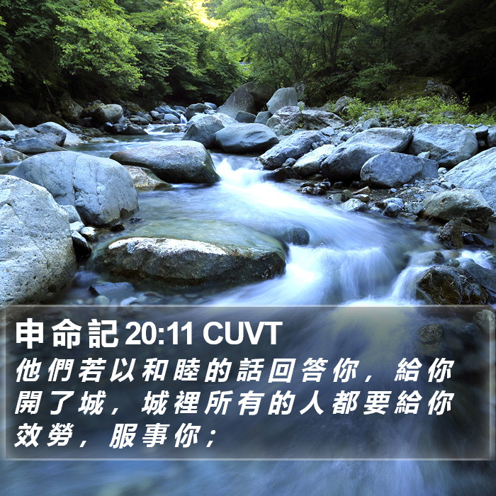 申 命 記 20:11 CUVT Bible Study