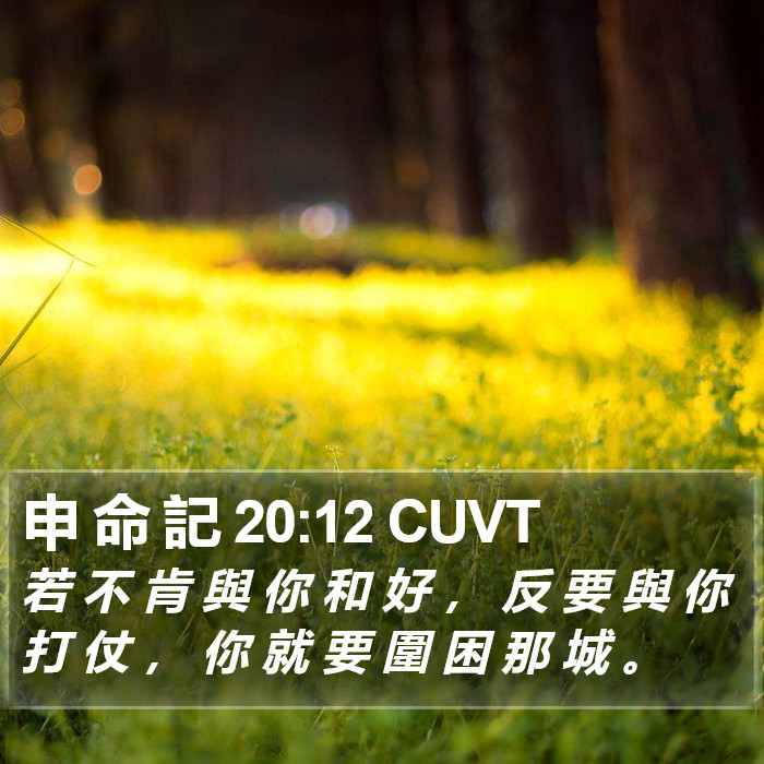 申 命 記 20:12 CUVT Bible Study