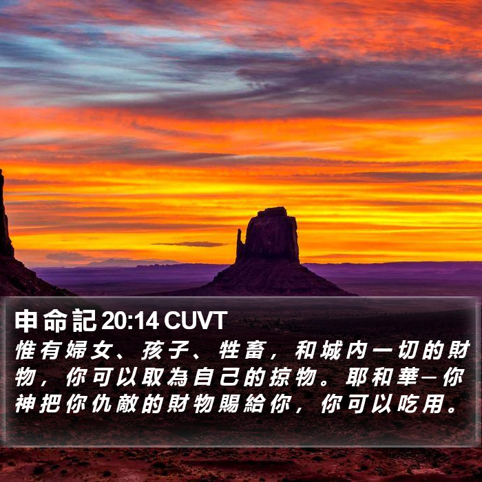 申 命 記 20:14 CUVT Bible Study