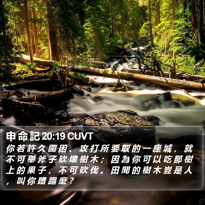 申 命 記 20:19 CUVT Bible Study