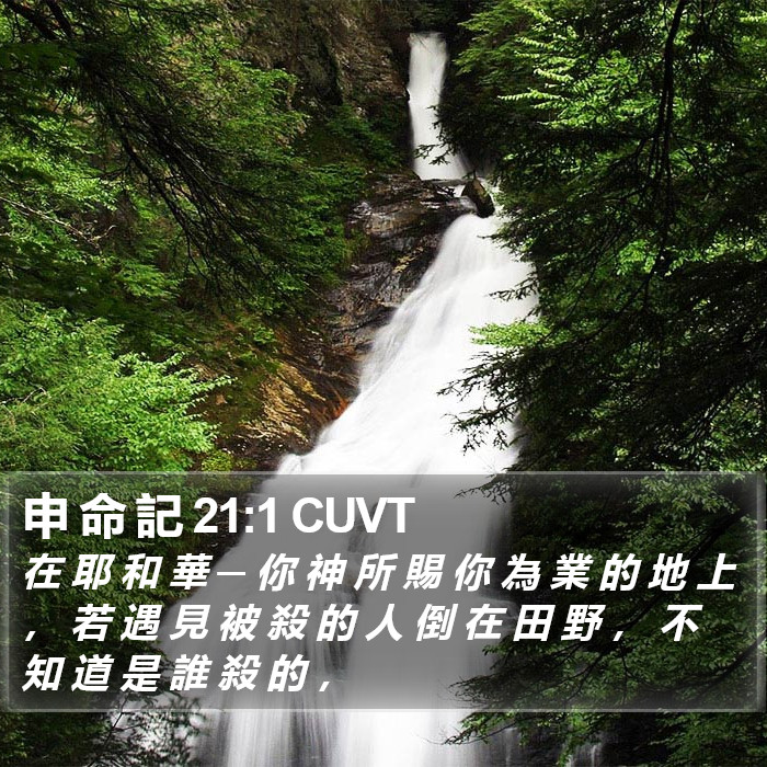 申 命 記 21:1 CUVT Bible Study