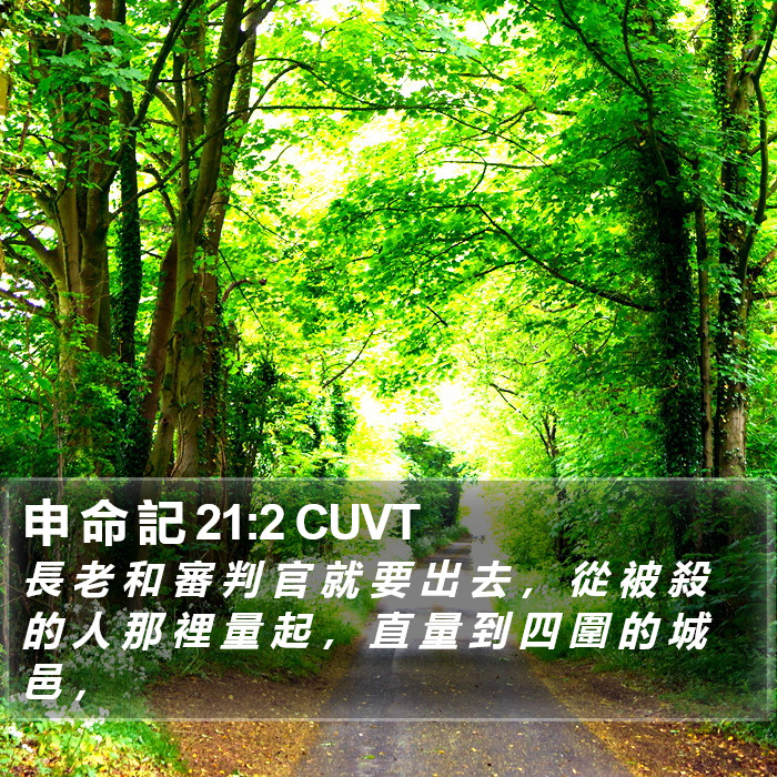 申 命 記 21:2 CUVT Bible Study