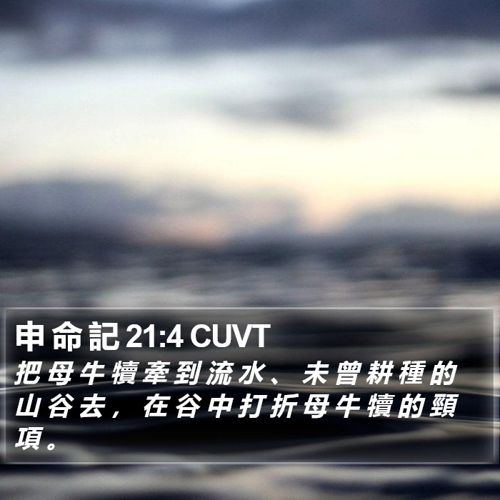 申 命 記 21:4 CUVT Bible Study