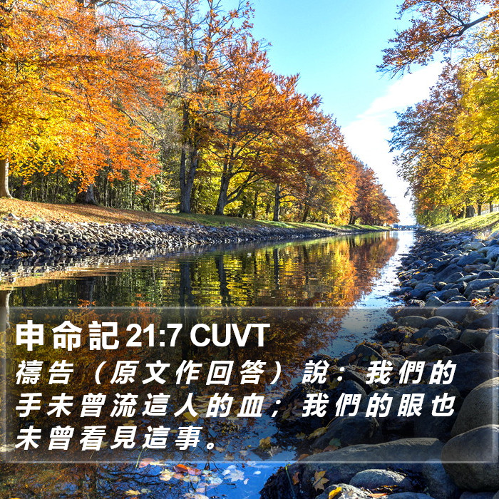 申 命 記 21:7 CUVT Bible Study