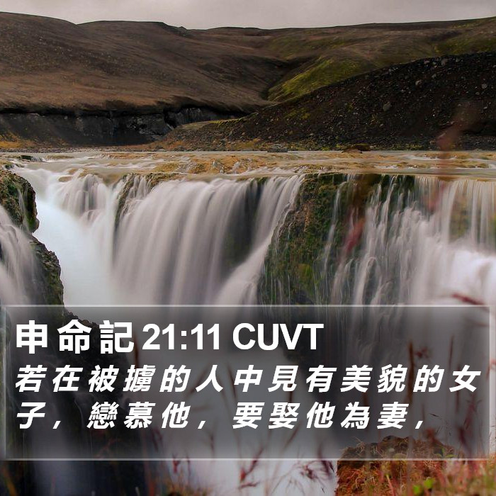 申 命 記 21:11 CUVT Bible Study