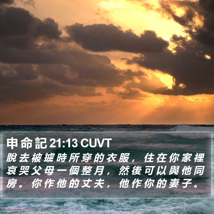 申 命 記 21:13 CUVT Bible Study