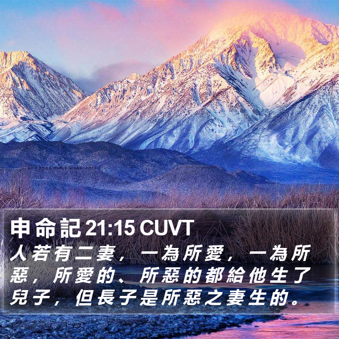 申 命 記 21:15 CUVT Bible Study