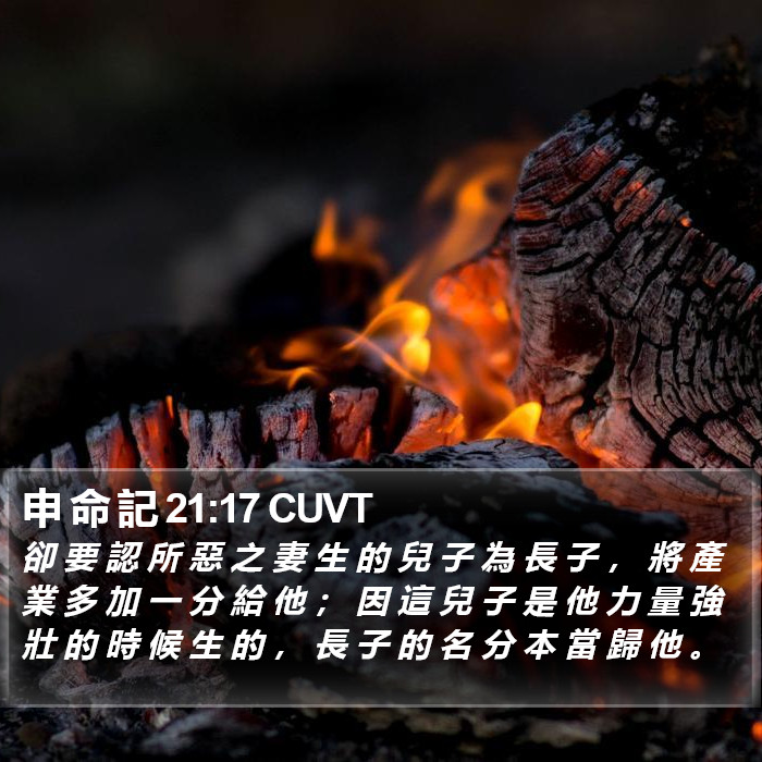 申 命 記 21:17 CUVT Bible Study