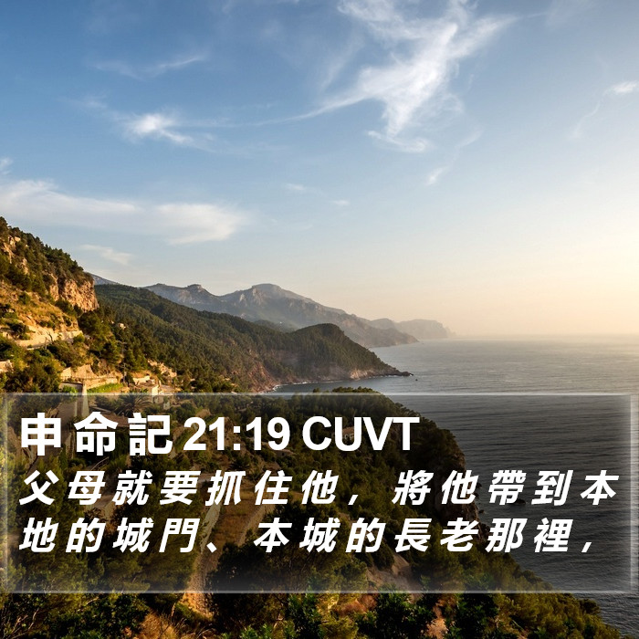 申 命 記 21:19 CUVT Bible Study