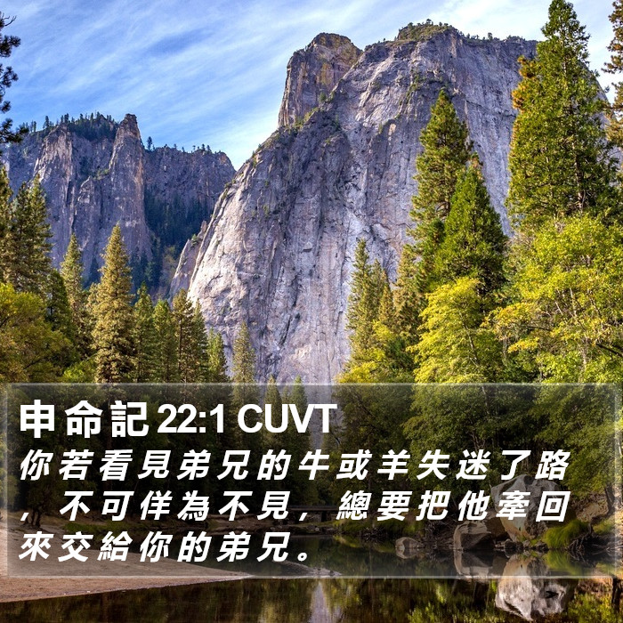 申 命 記 22:1 CUVT Bible Study