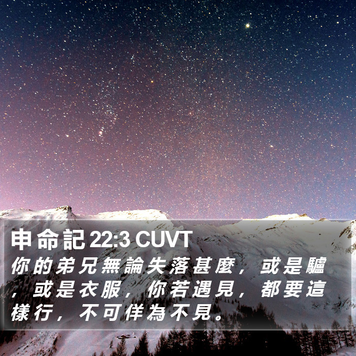 申 命 記 22:3 CUVT Bible Study