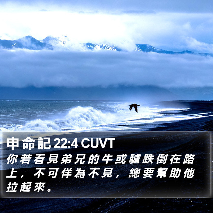 申 命 記 22:4 CUVT Bible Study