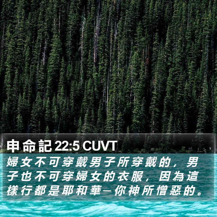 申 命 記 22:5 CUVT Bible Study