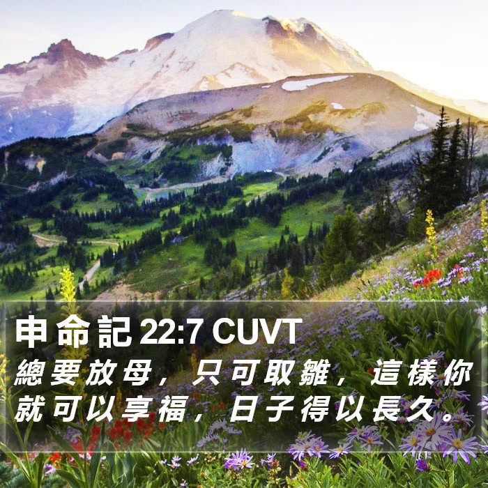 申 命 記 22:7 CUVT Bible Study