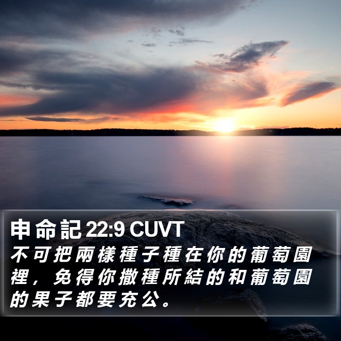 申 命 記 22:9 CUVT Bible Study