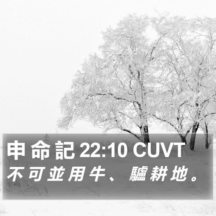 申 命 記 22:10 CUVT Bible Study