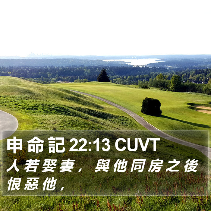 申 命 記 22:13 CUVT Bible Study