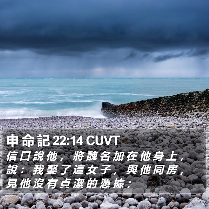 申 命 記 22:14 CUVT Bible Study