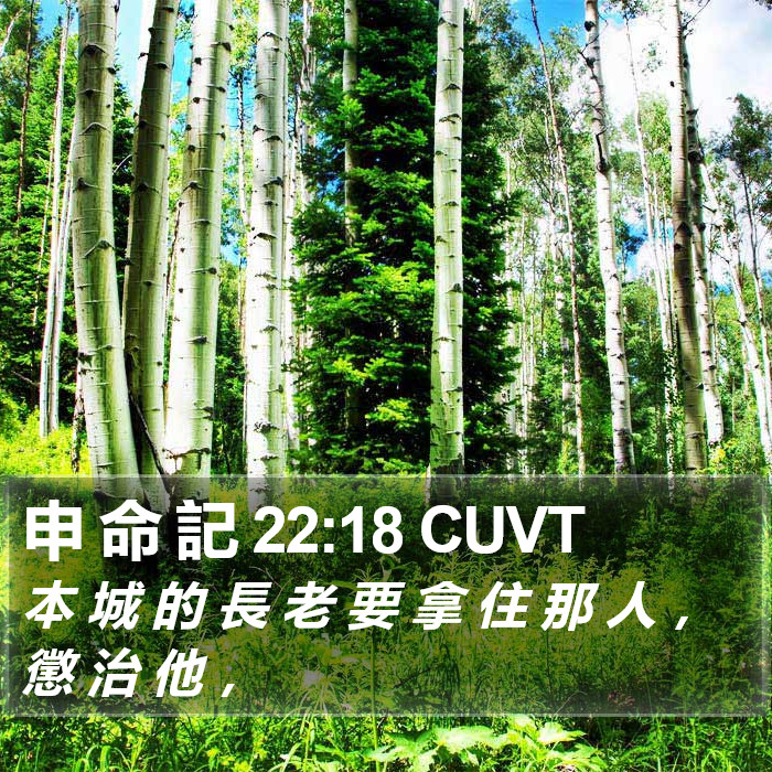 申 命 記 22:18 CUVT Bible Study