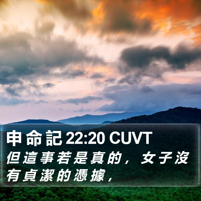 申 命 記 22:20 CUVT Bible Study