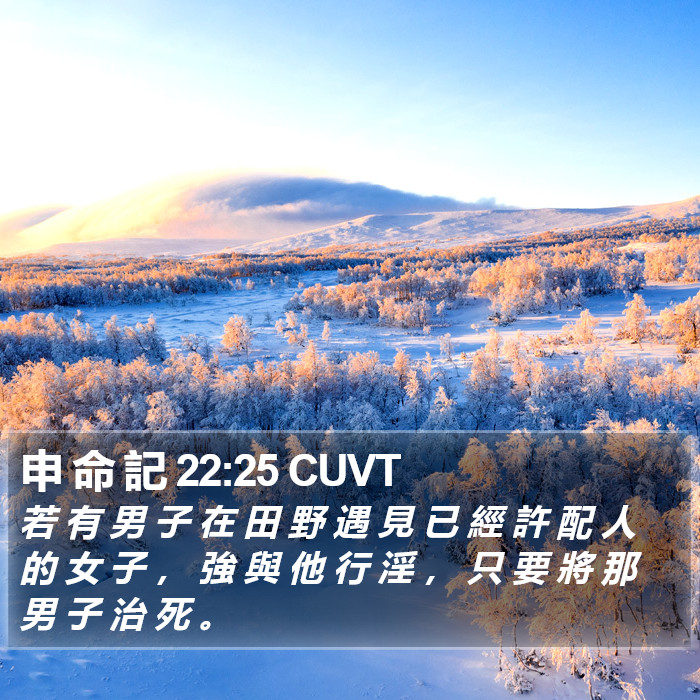 申 命 記 22:25 CUVT Bible Study