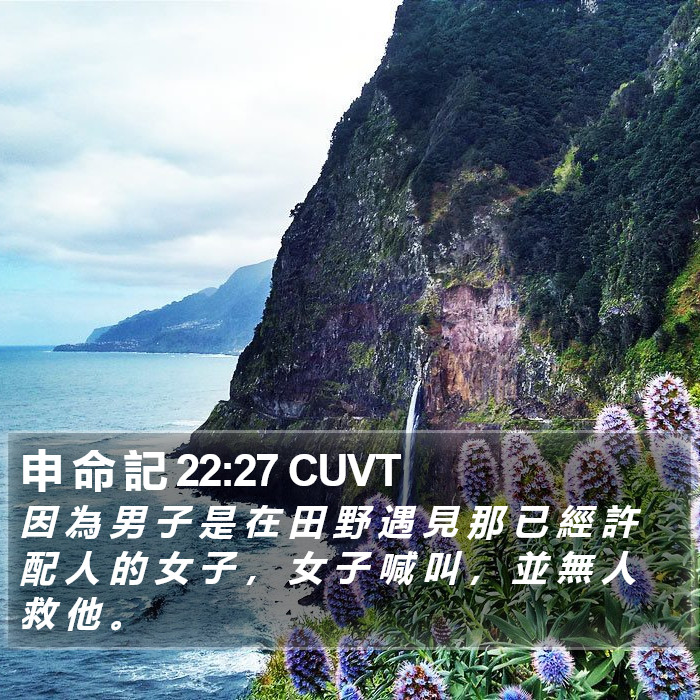 申 命 記 22:27 CUVT Bible Study