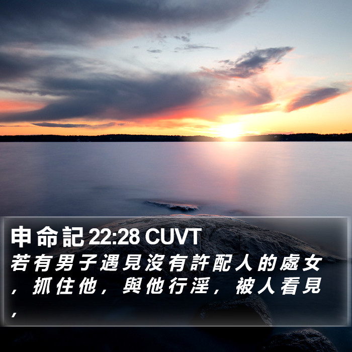 申 命 記 22:28 CUVT Bible Study