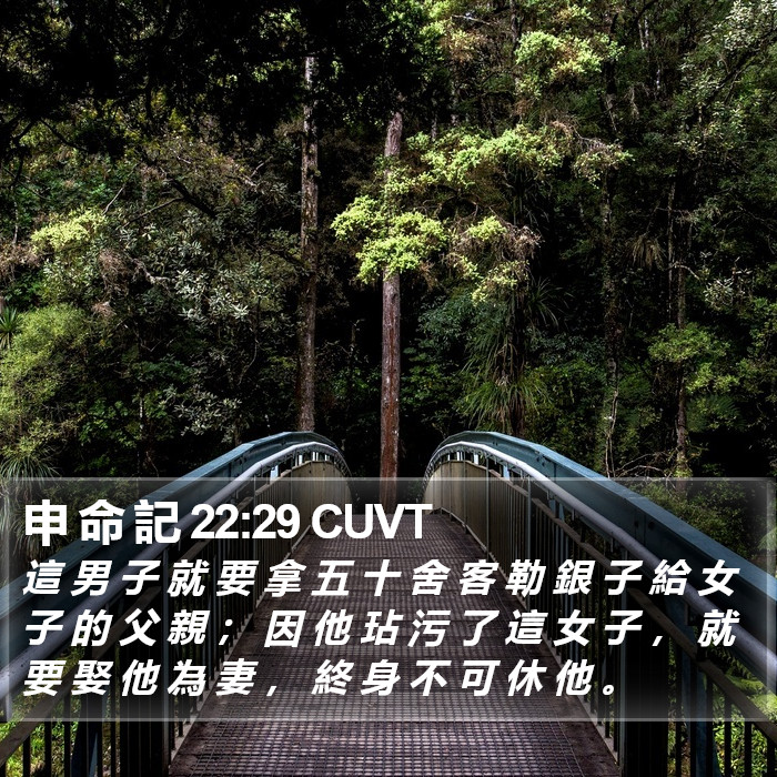 申 命 記 22:29 CUVT Bible Study