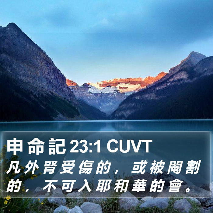 申 命 記 23:1 CUVT Bible Study