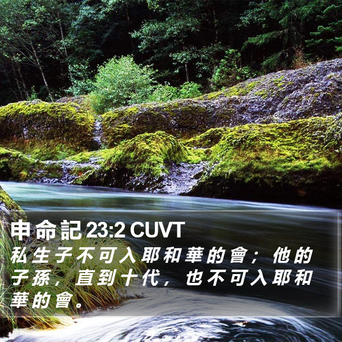 申 命 記 23:2 CUVT Bible Study