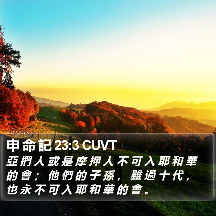 申 命 記 23:3 CUVT Bible Study