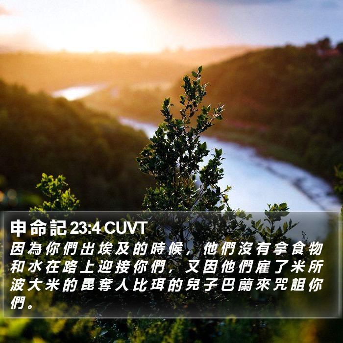 申 命 記 23:4 CUVT Bible Study