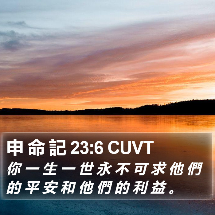 申 命 記 23:6 CUVT Bible Study