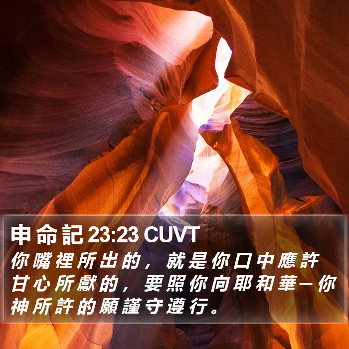 申 命 記 23:23 CUVT Bible Study