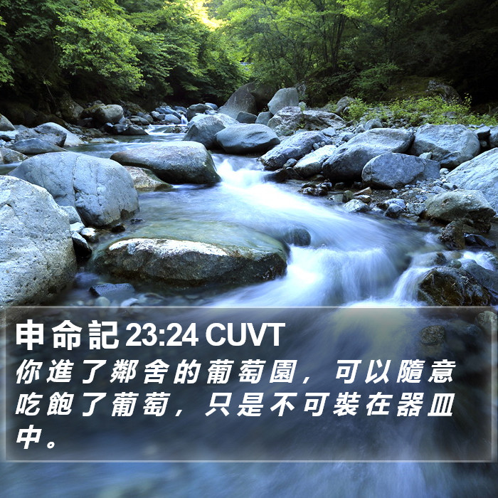 申 命 記 23:24 CUVT Bible Study