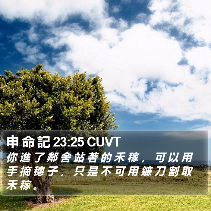 申 命 記 23:25 CUVT Bible Study