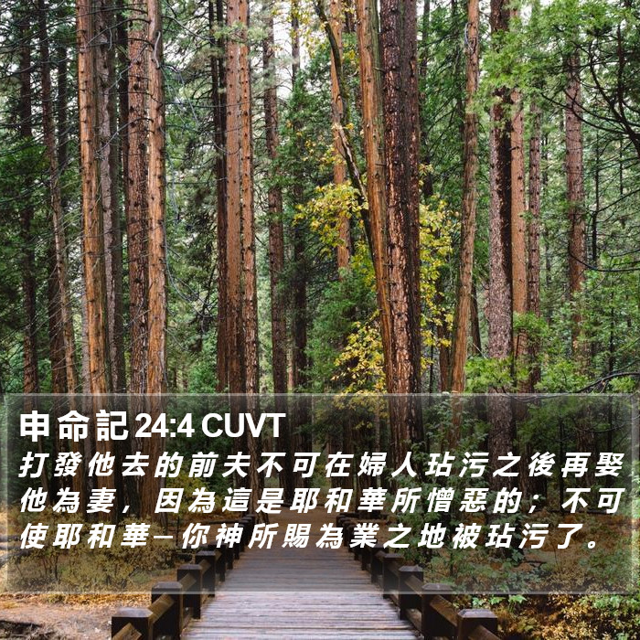 申 命 記 24:4 CUVT Bible Study